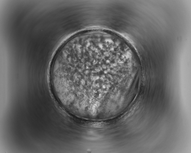 X0000093171279200710171221