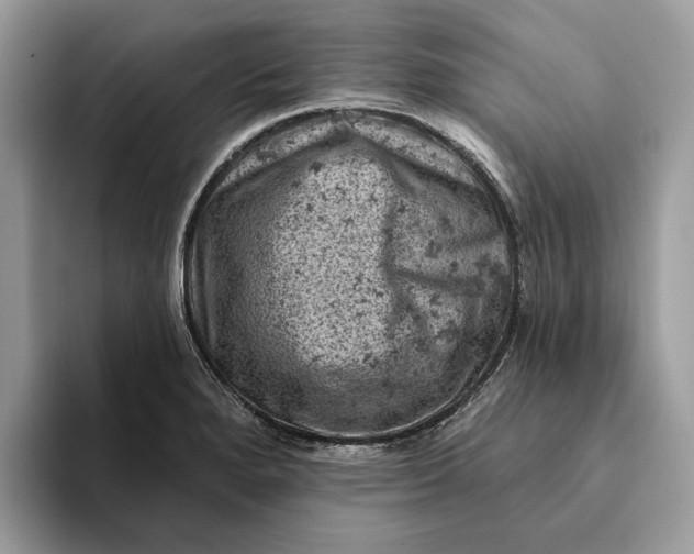X0000093171280200710171221