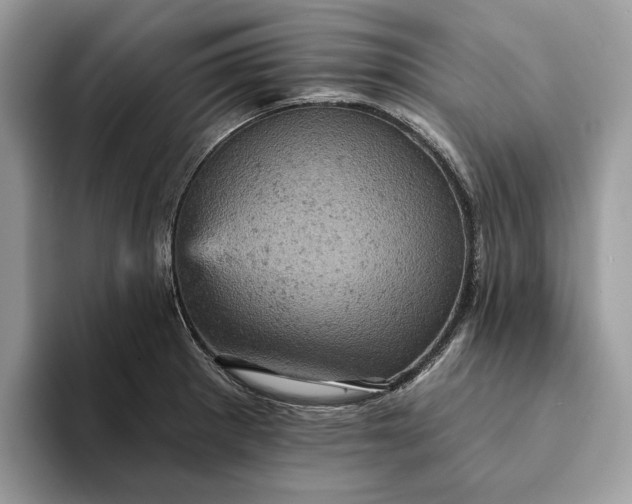 X0000093171281200710171221