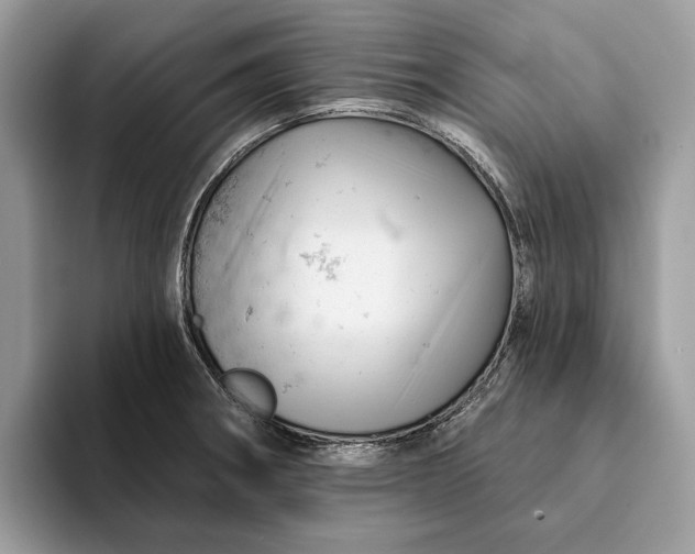 X0000093171282200710171221