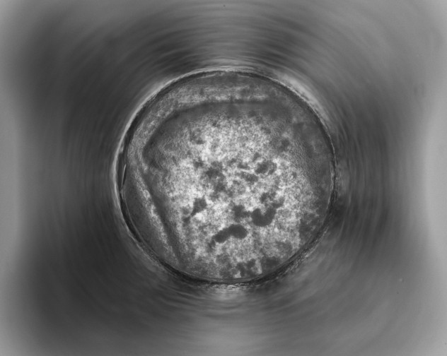 X0000093171283200710171221