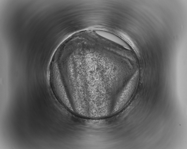 X0000093171284200710171221