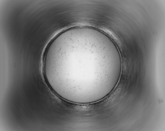 X0000093171286200710171221