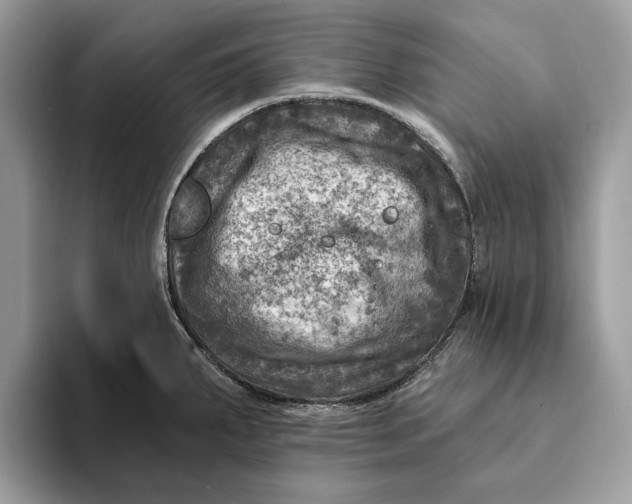 X0000093171287200710171221