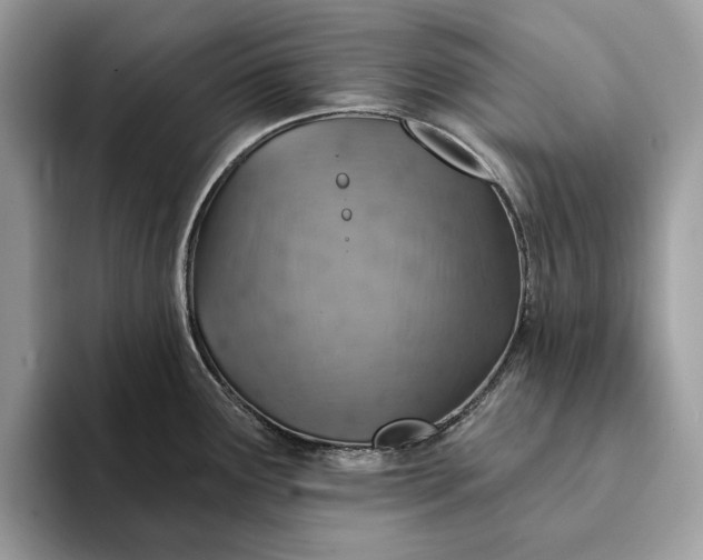 X0000093171291200710171221