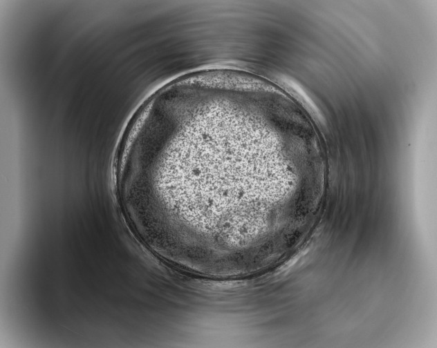 X0000093171292200710171221