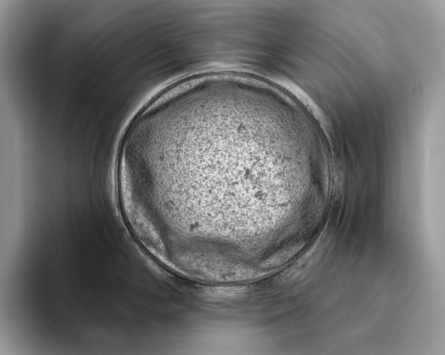 X0000093171294200710171221