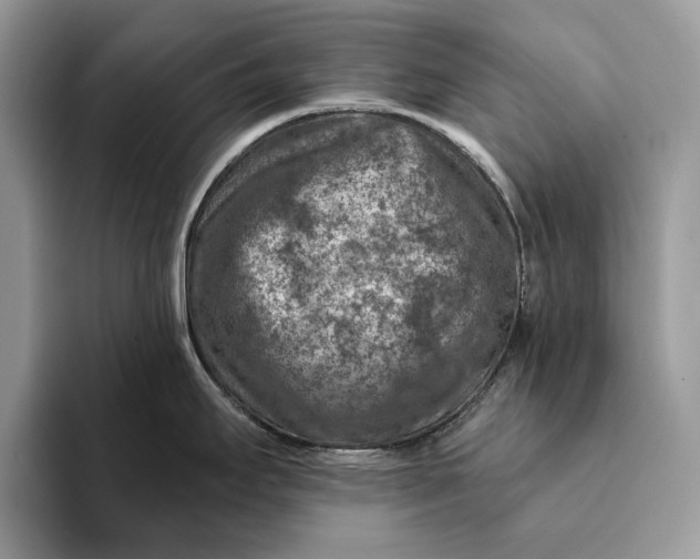 X0000093171295200710171221