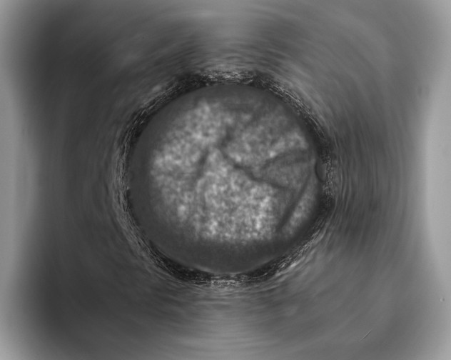 X0000093171297200710171220