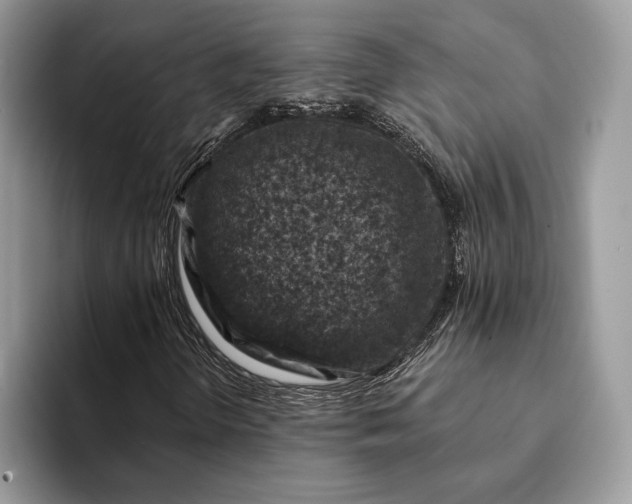X0000093171298200710171220