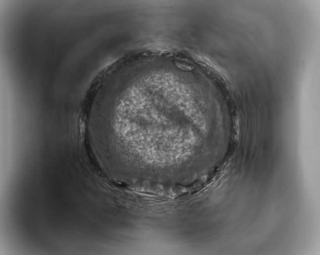 X0000093171302200710171220