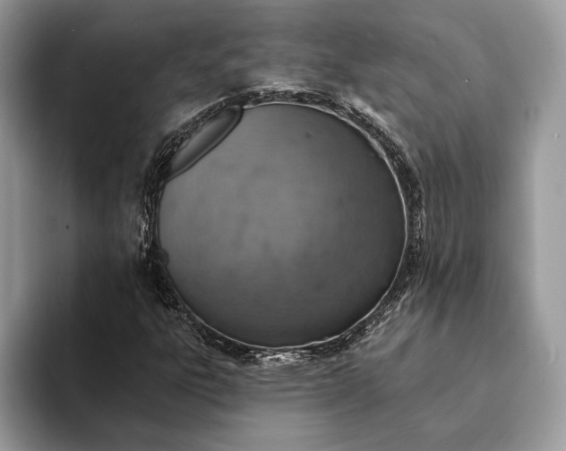 X0000093171303200710171220