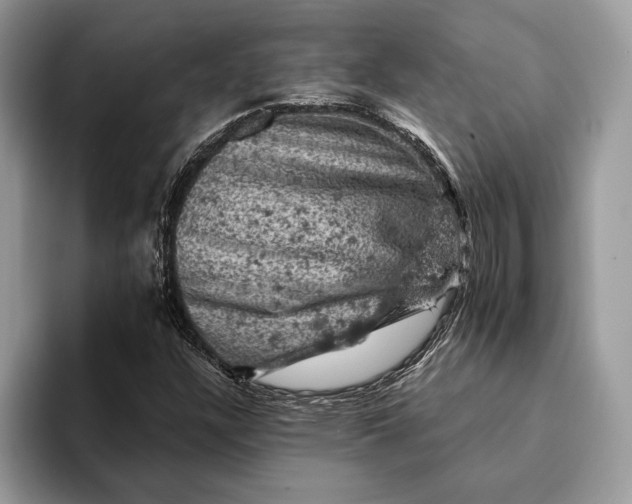 X0000093171304200710171220