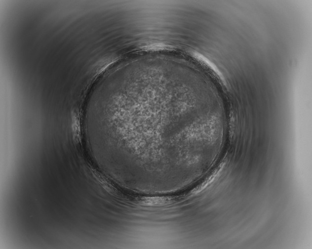 X0000093171305200710171220