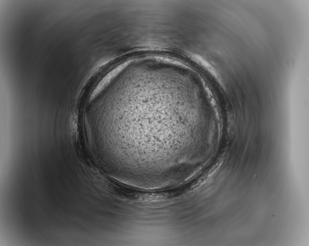 X0000093171307200710171220