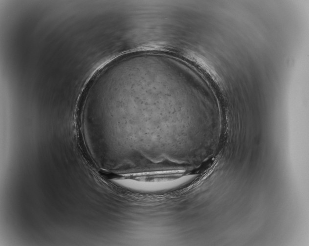 X0000093171308200710171220