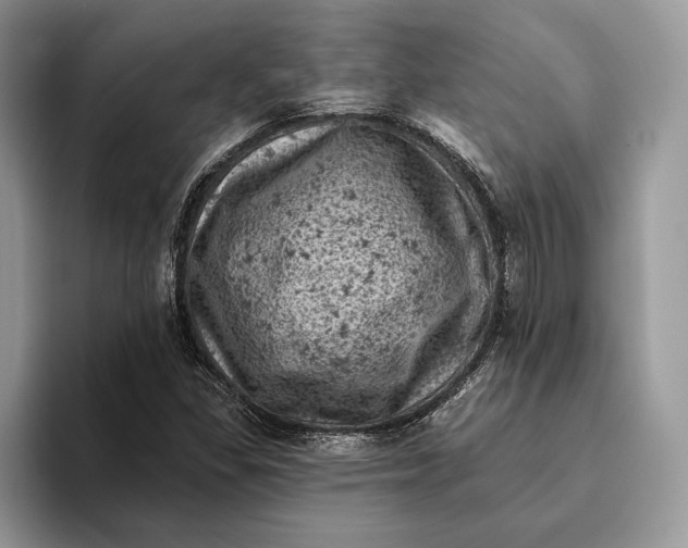 X0000093171309200710171220