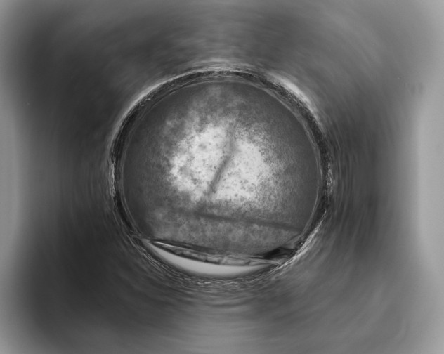 X0000093171310200710171220