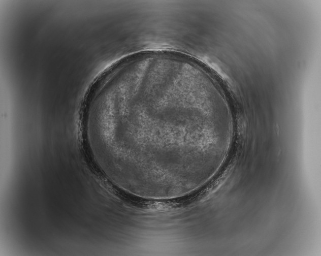 X0000093171311200710171220