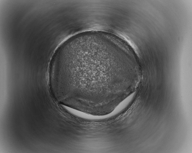 X0000093171316200710171221