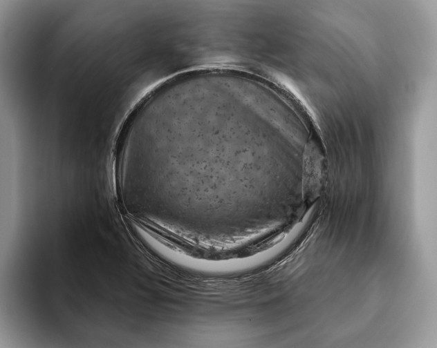 X0000093171320200710171221