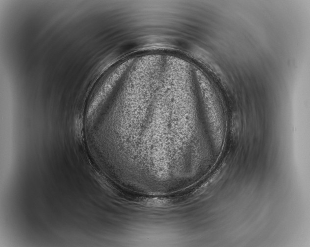 X0000093171321200710171221