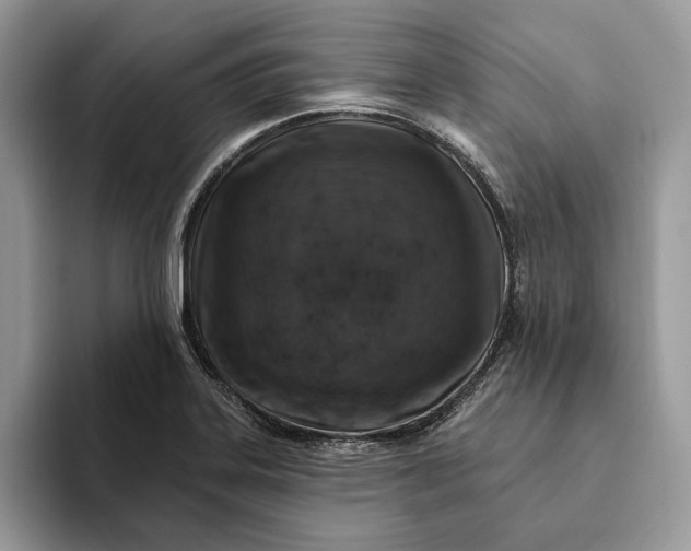 X0000093171323200710171221