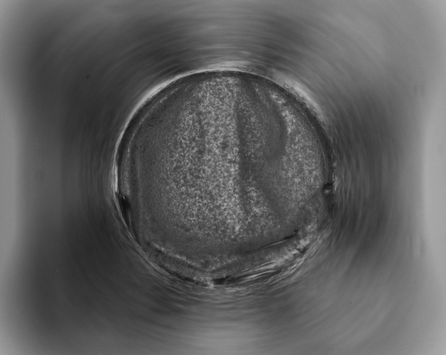 X0000093171324200710171221