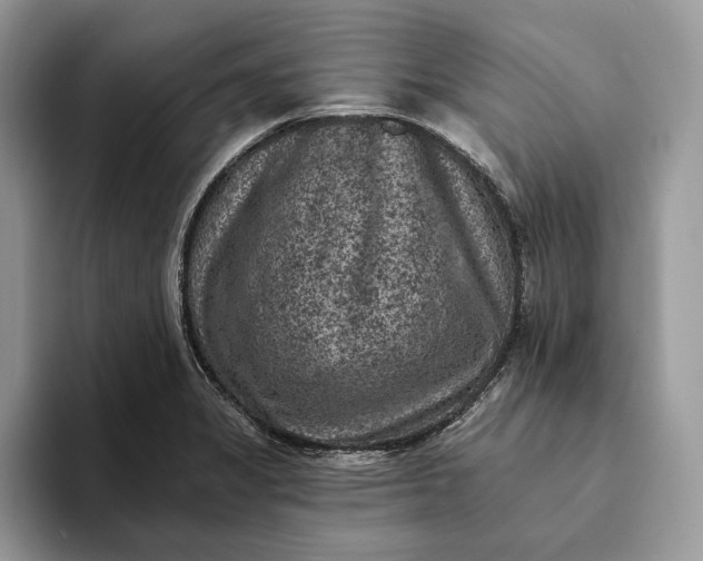 X0000093171325200710171221