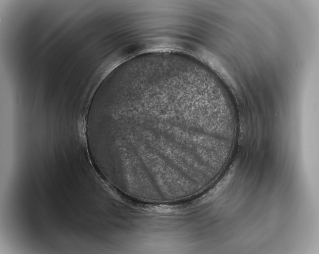X0000093171329200710171221