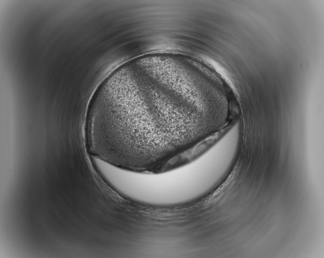 X0000093171330200710171221