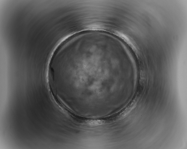 X0000093171331200710171221