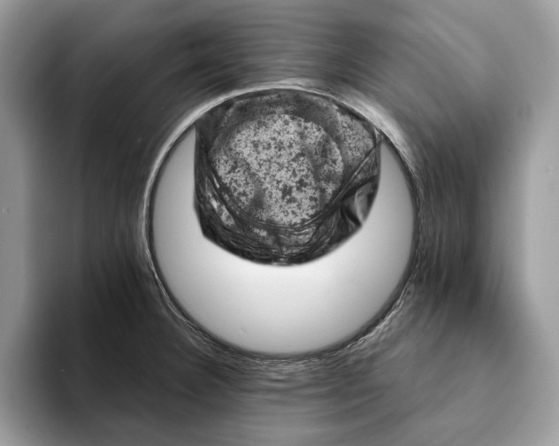 X0000093171332200710171221