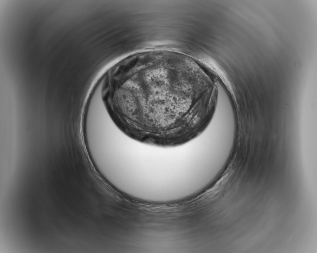 X0000093171336200710171221