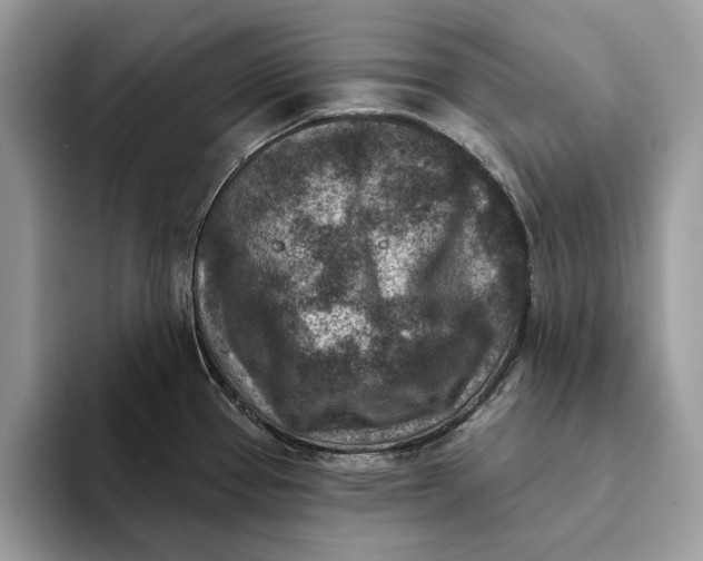 X0000093171337200710171221