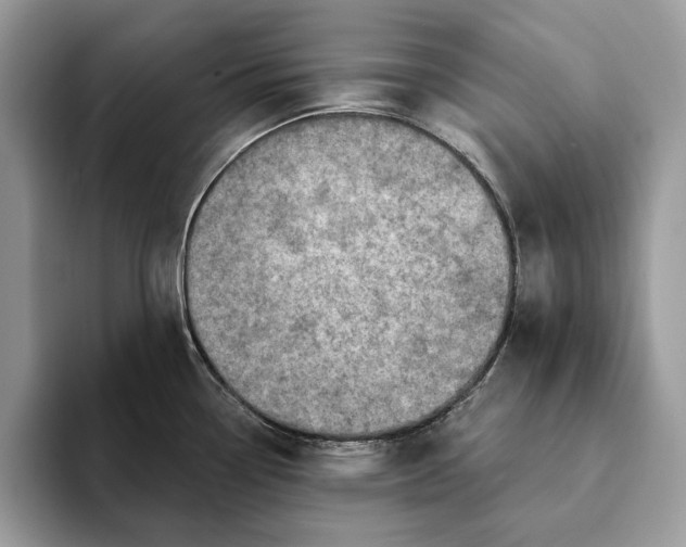 X0000093171338200710171221