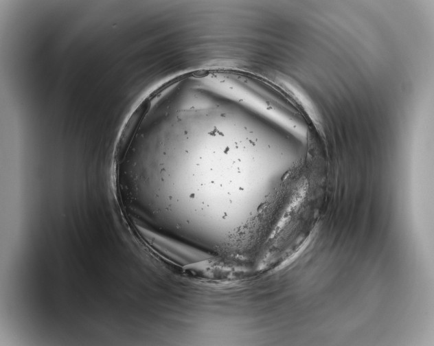 X0000093171340200710171221