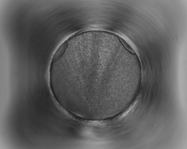 X0000093171341200710171221