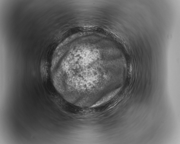 X0000093171346200710171220