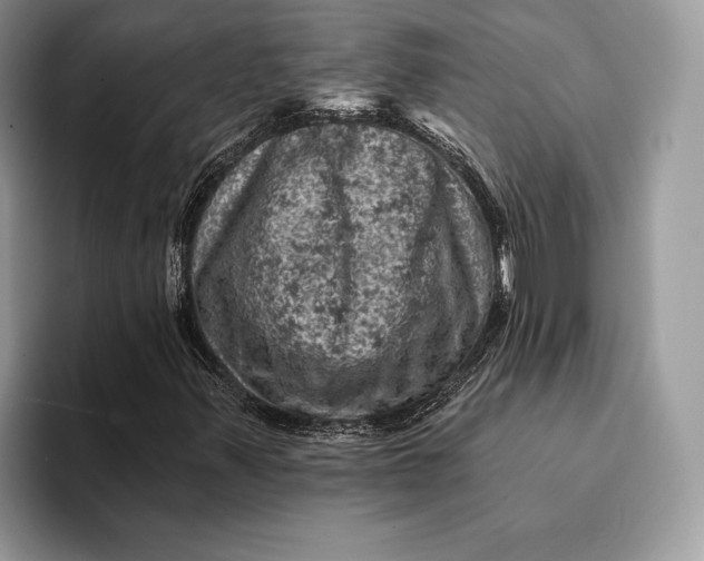 X0000093171347200710171220