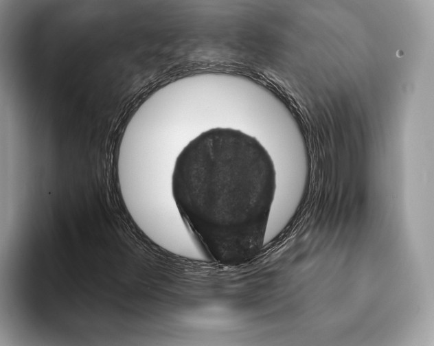 X0000093171348200710171220