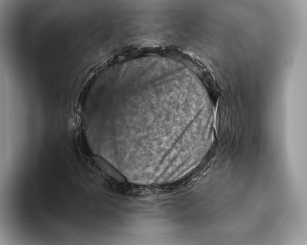 X0000093171349200710171220