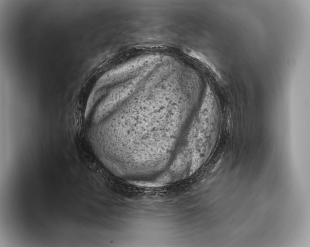 X0000093171350200710171220