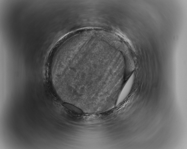 X0000093171352200710171220