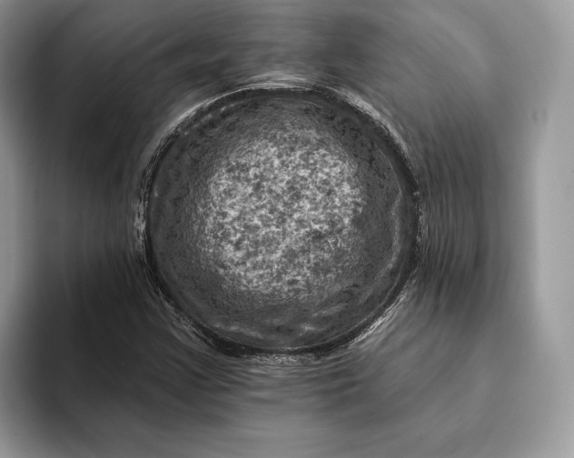 X0000093171355200710171220