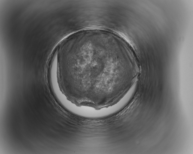 X0000093171356200710171220