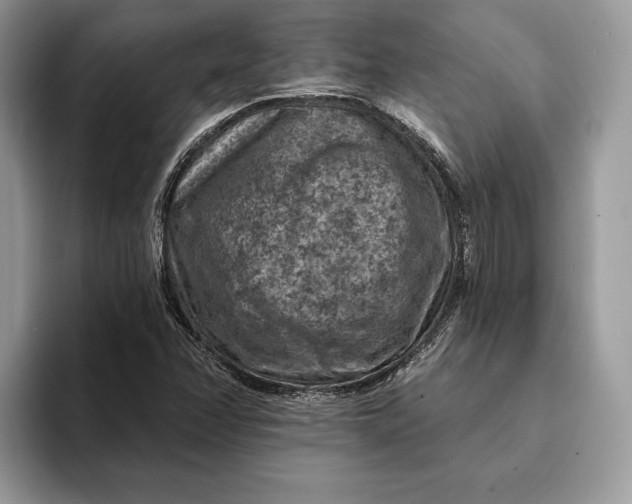 X0000093171358200710171220