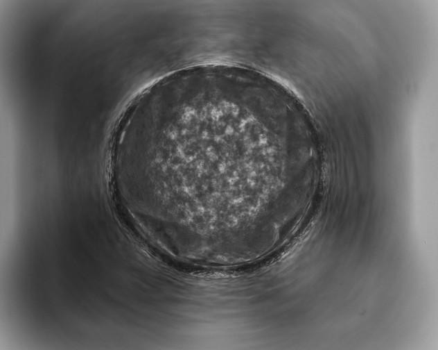 X0000093171359200710171220