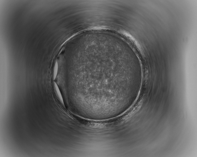 X0000093171361200710171220
