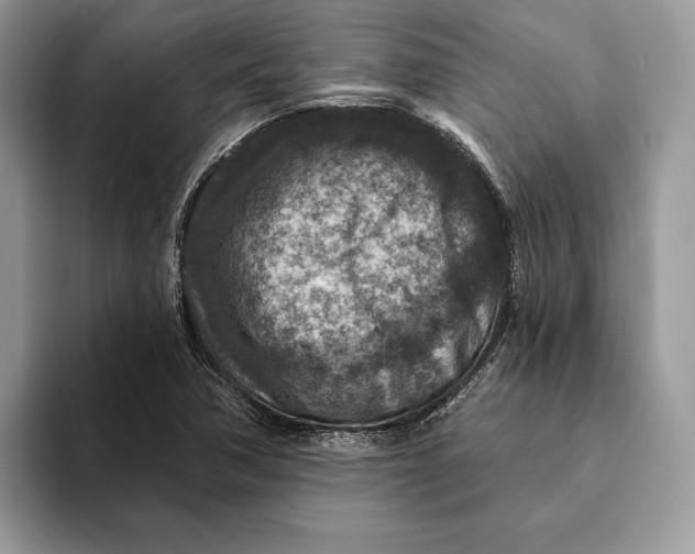 X0000093171362200710171220